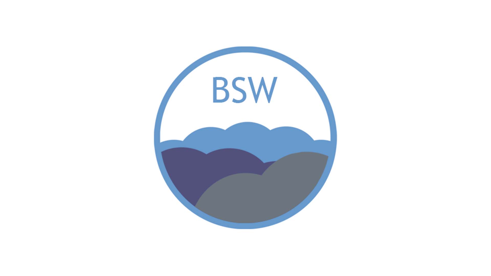 BlueSky Wireless Ltd.